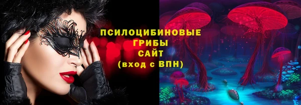 Альфа ПВП Сосновый Бор