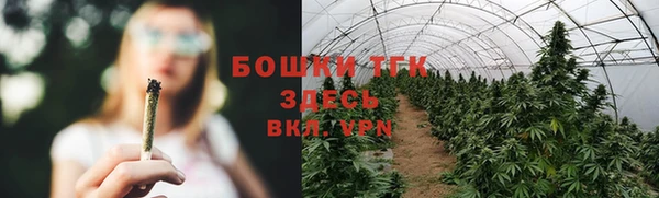 каннабис Аркадак