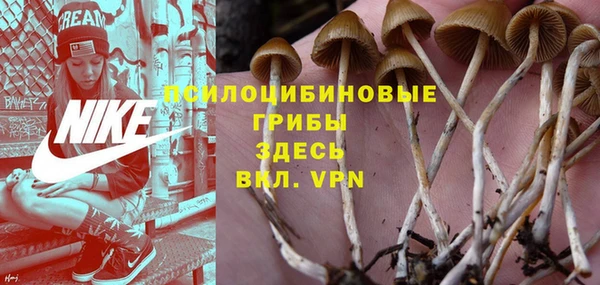 Альфа ПВП Сосновый Бор