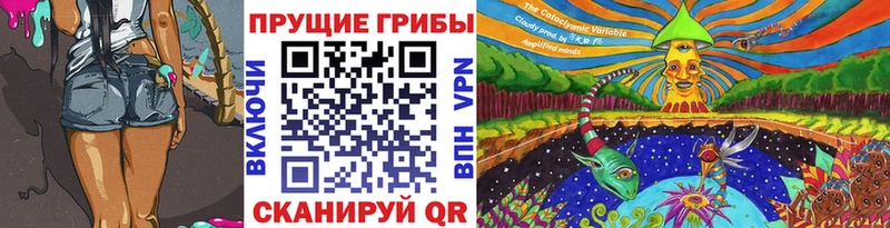 Галлюциногенные грибы GOLDEN TEACHER  нарко площадка Telegram  Шумиха  omg рабочий сайт 